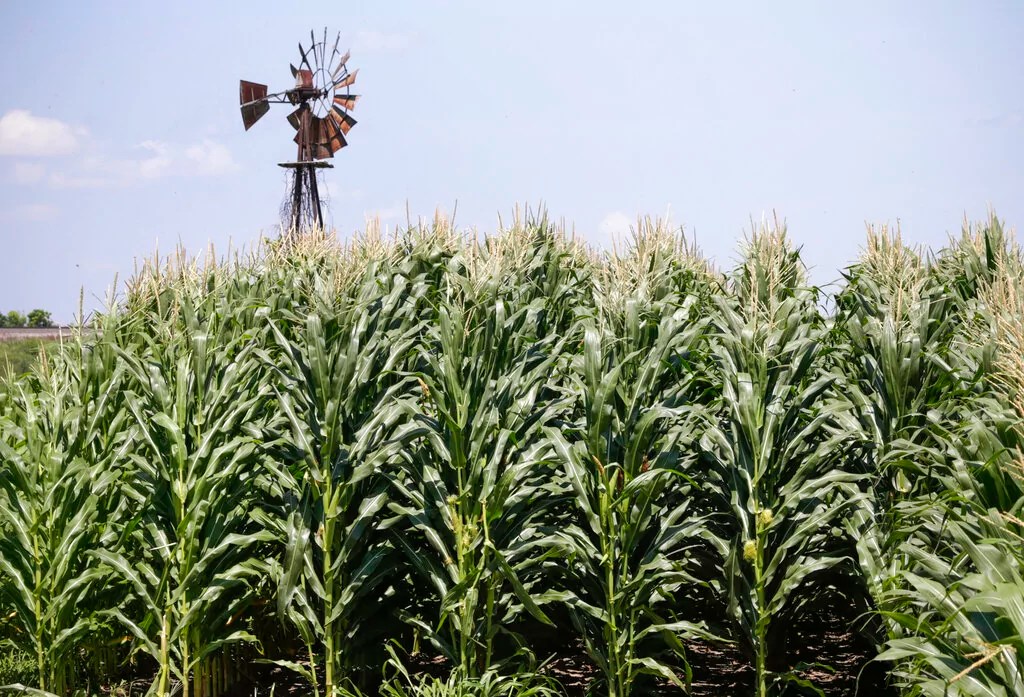 Trump tells US farmers to prepare for external tariffs next month: ‘Have fun!’