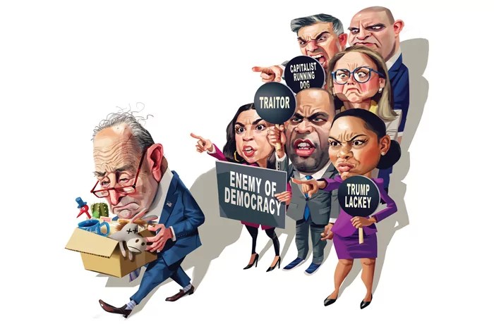 Disorder among the Democrats: The opposition struggles to find its way after losing to Trump