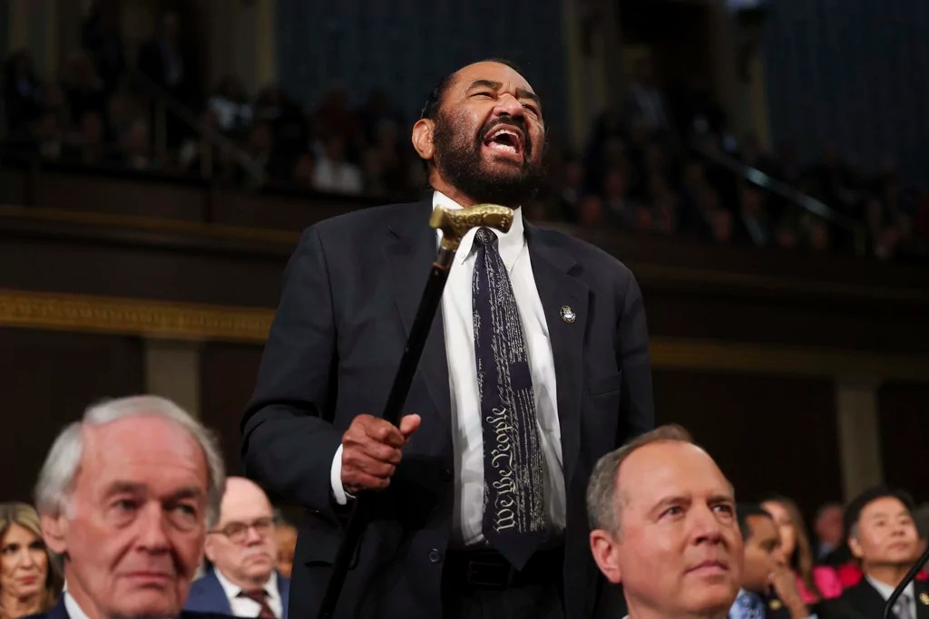 Democrats struggle to grasp anti-DOGE momentum as Trump attacks fall flat