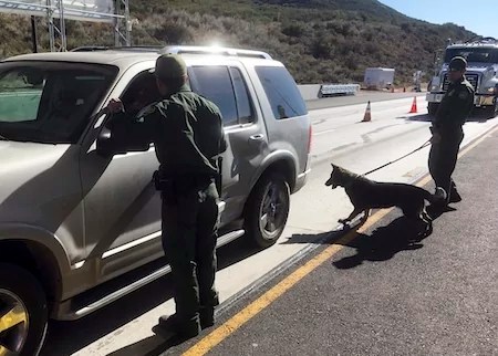 FILE - Border patrol agents use a drug sniffing dog to check vehicles at California's Pine Valley checkpoint, on the main route from Arizona to San Diego, Dec. 14, 2017 (AP Photo/Elliot Spagat, File)