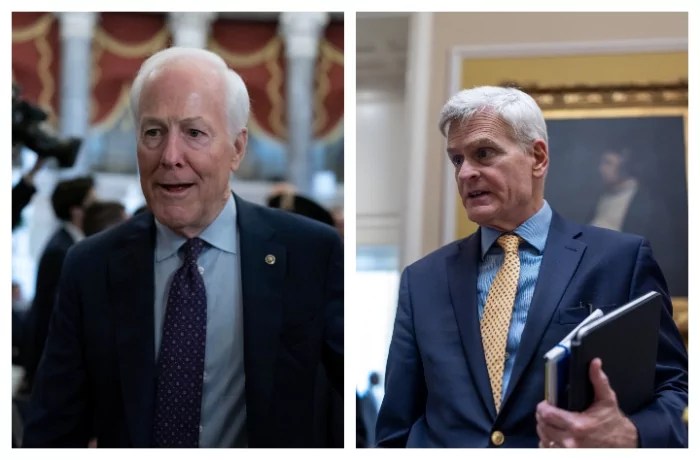 Republican senators under primary threat make public moves to get in MAGA’s good graces