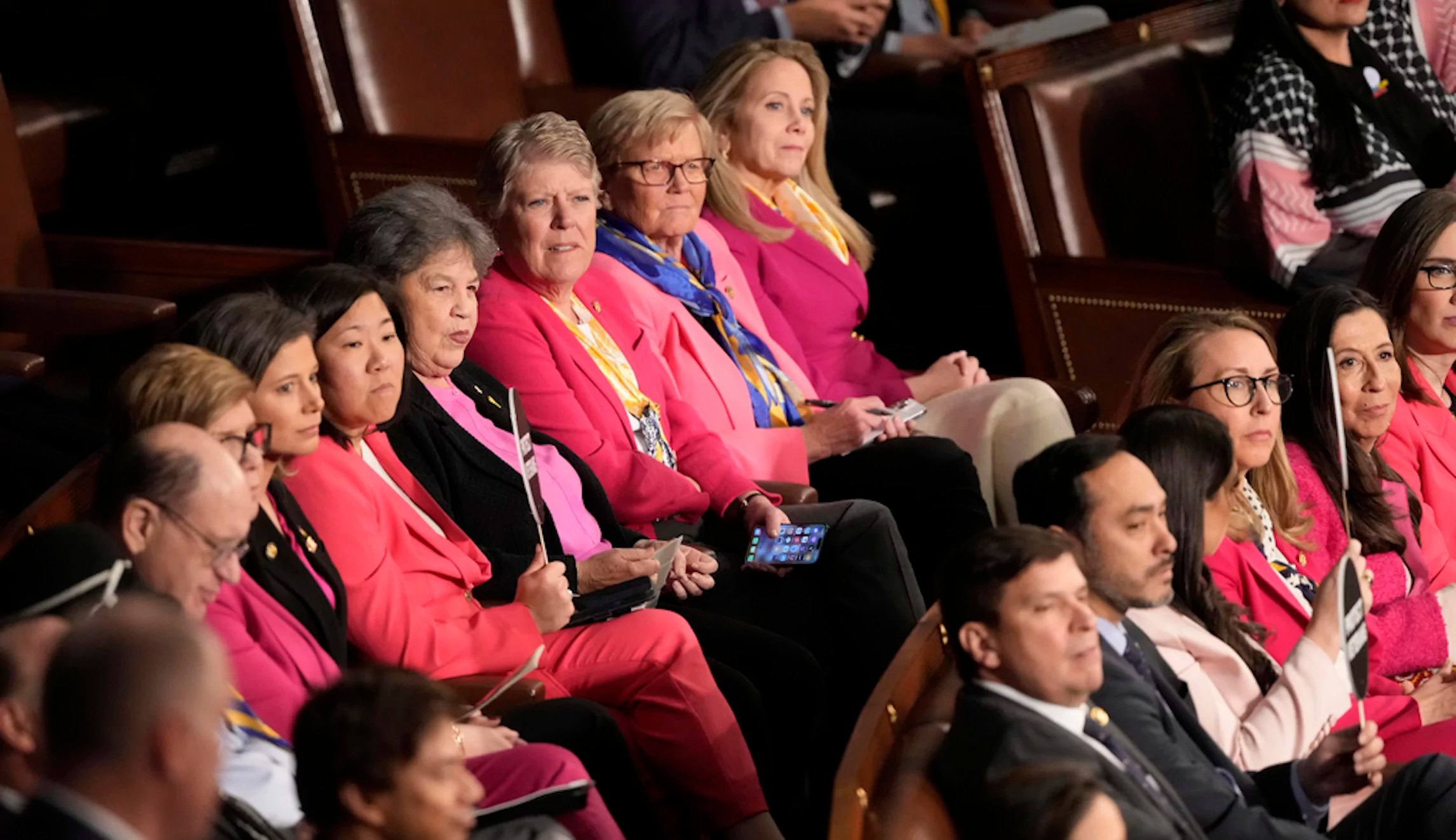 Did Democrats wear pink to honor boys playing girls’ sports?