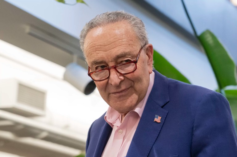 Schumer’s leadership becomes an issue in 2026 Democratic Senate primaries