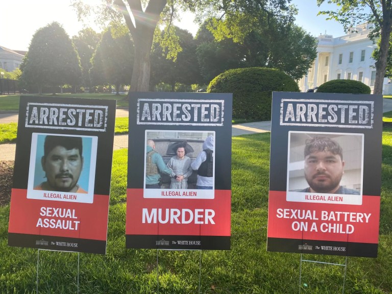 White House displays illegal immigrant mug shots on lawn