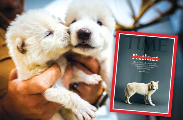 More like dire frankenwolves