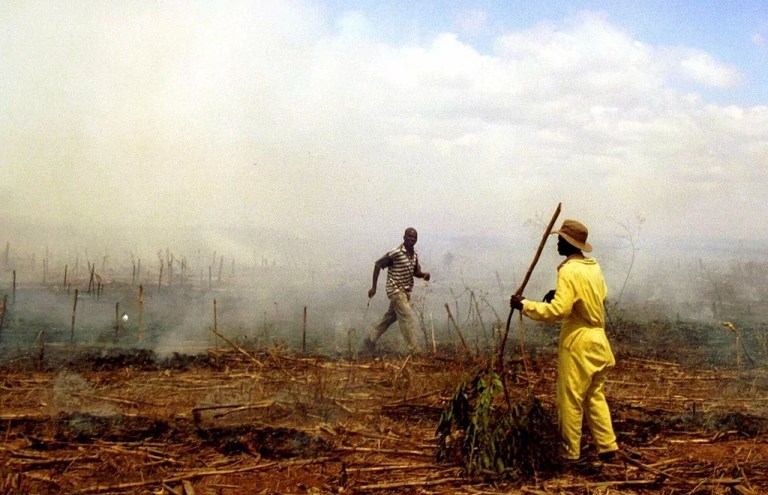 Zimbabwe farm squatters burn a field of standing crops at Chirobi Farm, about 43 miles north of Harare, Nov. 11, 2000.
