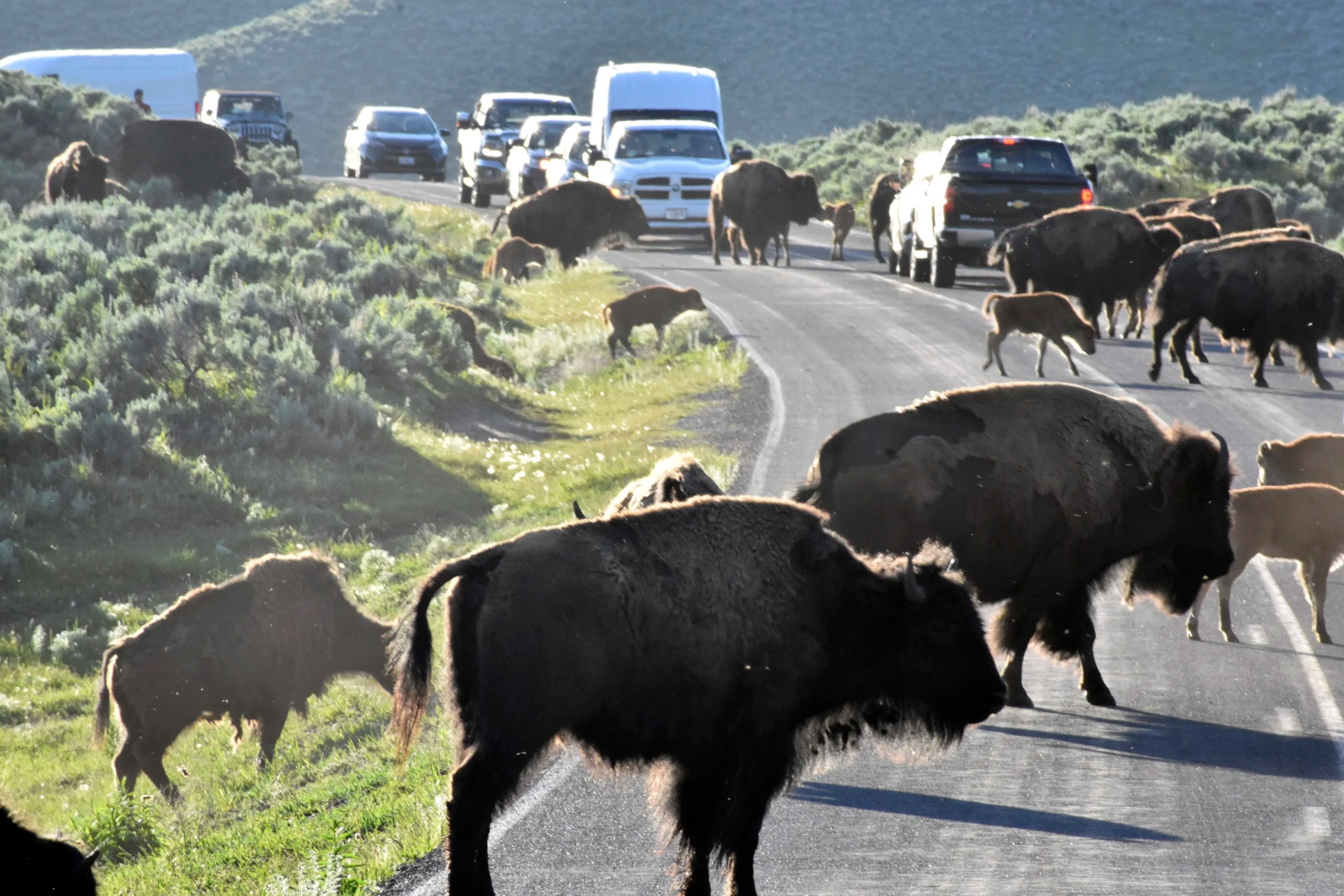 New, bipartisan ‘Public Lands Caucus’ challenges GOP and Trump