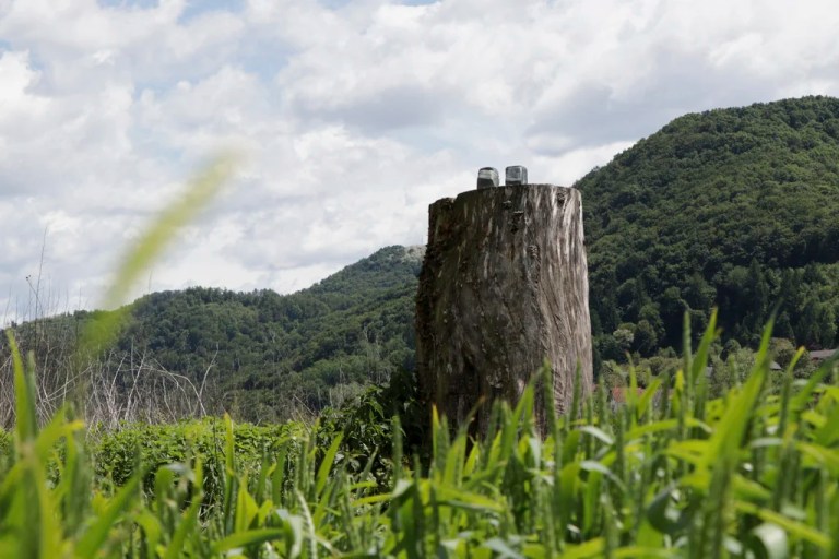 Ankles of sawed off and taken away bronze statue which represented Melania Trump remain on the tree stump where it was placed in 2020, in the village of Rozno, Slovenia, Friday, May 16, 2025, near Melania Trump's hometown of Sevnica.