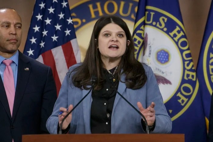 Democratic Senate hopeful Haley Stevens faces barrage of online trolling
