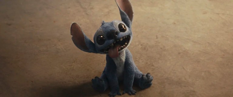 This image shows the character Stitch in a still from the film 