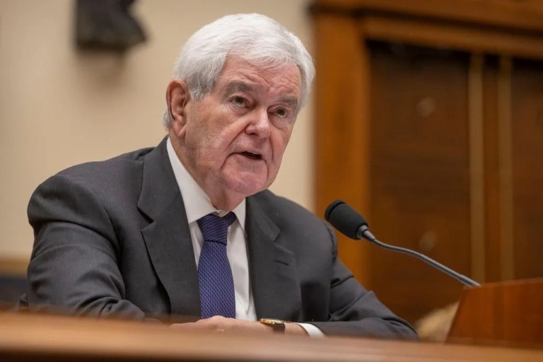 Gingrich urges swift Senate passage of ‘big, beautiful bill’