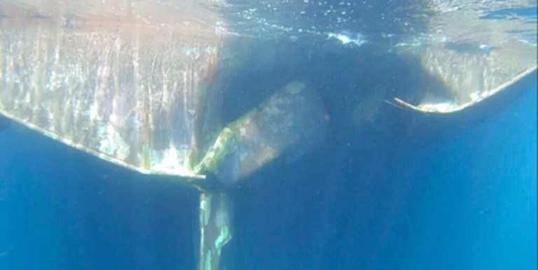 This undated handout photograph from the United Arab Emirates' Mission to the United Nations released Thursday, June 6, 2019, shows the damage done to the Norwegian oil tanker Andrea Victory off the coast of Fujairah, United Arab Emirates. A joint statement released Thursday by Saudi Arabia, the UAE and Norway said the damage done to the four oil tankers off the UAE likely came from limpet mines placed by a 
