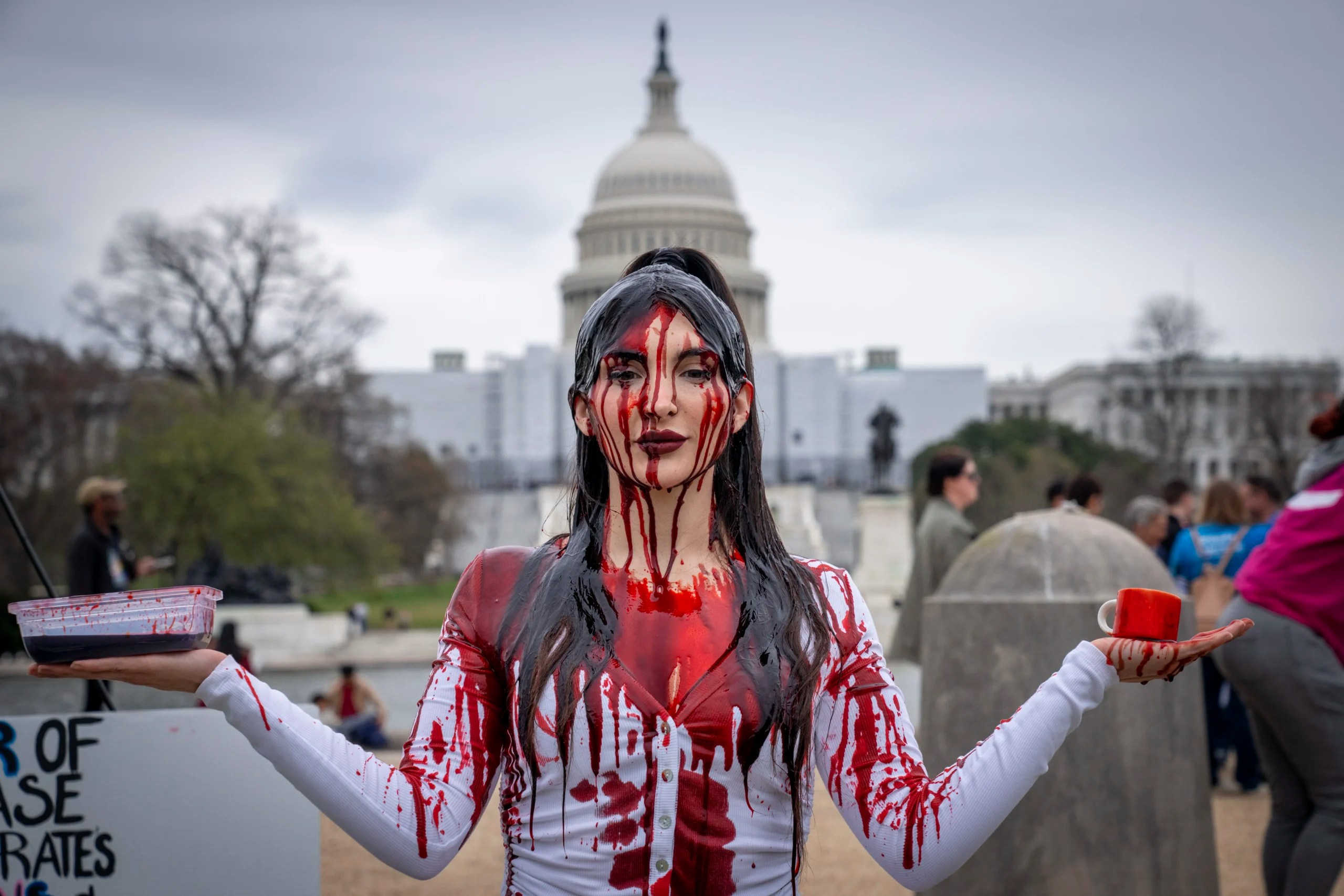 Democrats claim, without evidence, that transgender ‘care’ saves children’s lives