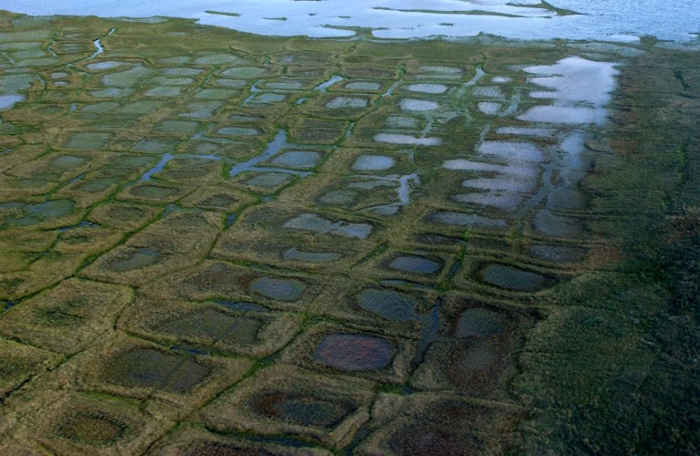 In this undated photo provided by the U.S. Geological Survey, permafrost forms a grid-like pattern in the National Petroleum Reserve-Alaska, managed by the Bureau of Land Management on Alaska's North Slope.