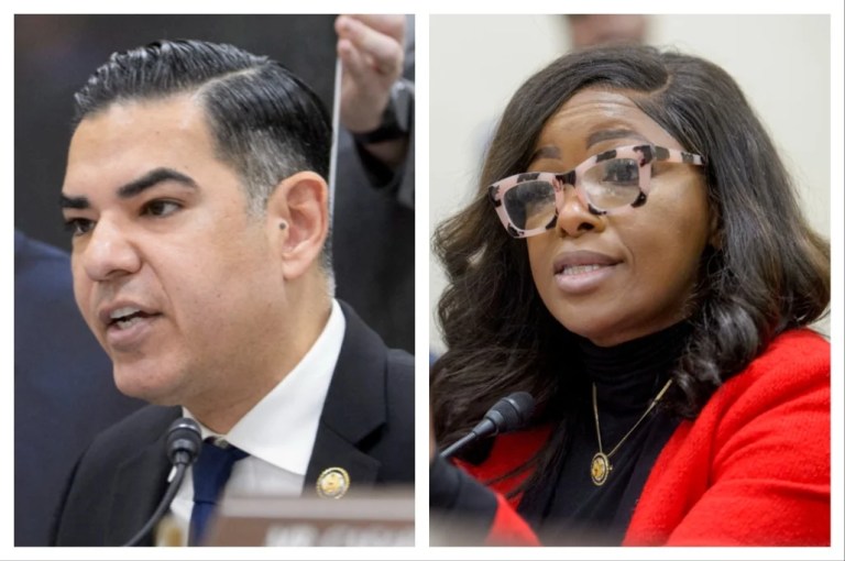 Rep. Robert Garcia and Rep. Jasmine Crockett questions the witnesses during a House Committee on Oversight and Government Reform Subcommittee.