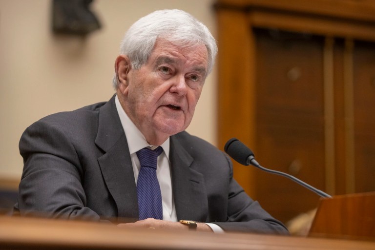 Gingrich argues voters are siding with Trump over ‘Obama-Biden system’