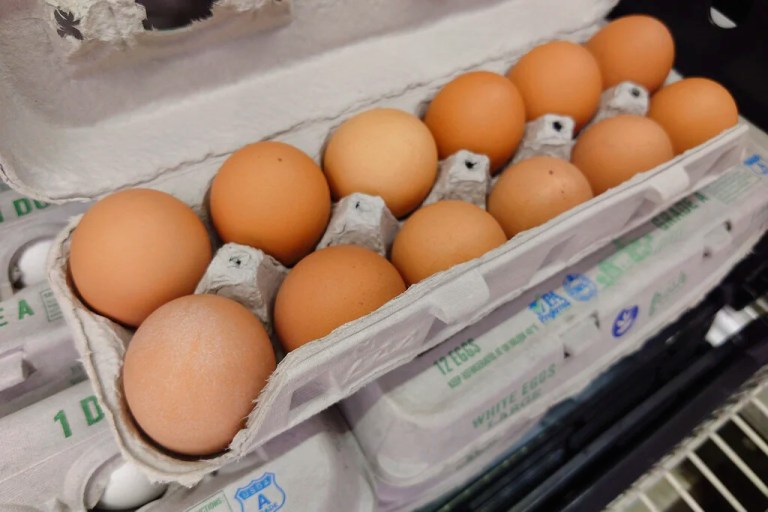 Show are eggs at a grocery story in Morrisville, Pa., Tuesday, Jan. 10, 2023. Anyone going to buy a dozen eggs these days will have to be ready to pay up because the lingering bird flu outbreak, combined with soaring feed, fuel and labor costs, has driven prices up significantly. (AP Photo/Matt Rourke)
