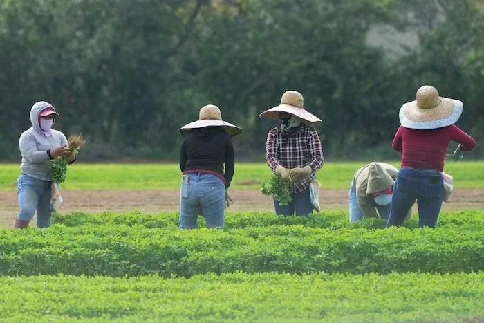 Republicans call for ICE to stop arresting noncriminal illegal immigrants