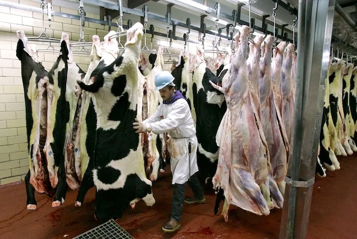 (AP Photo/Charles Rex Arbogast)