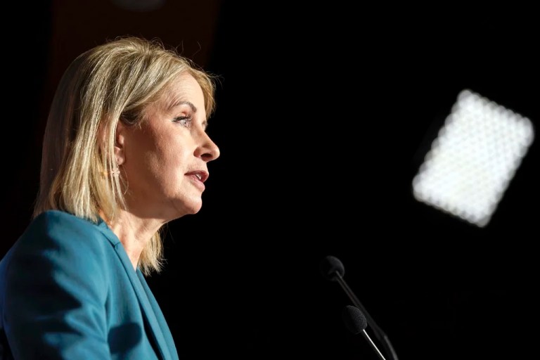 Rep. Mary Miller, R-Ill., speaks during a news conference on border security and funding on Capitol Hill Wednesday, Jan. 10, 2024, in Washington.