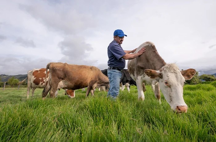 Can Trump make farming great again?