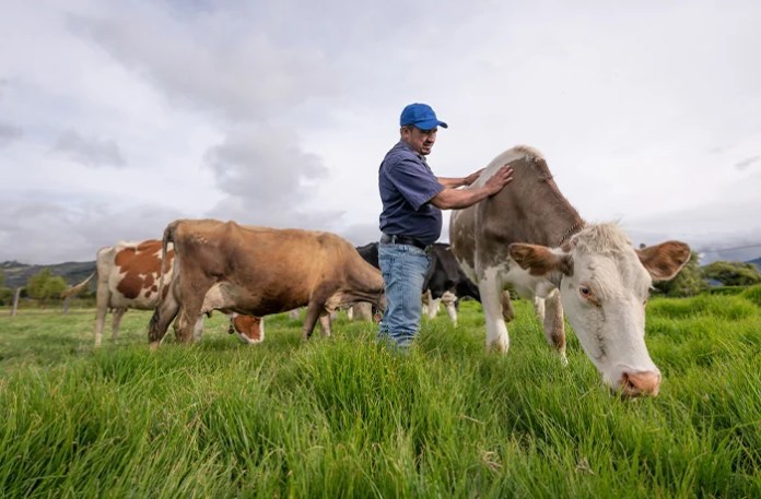 Can Trump make farming great again?
