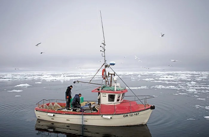 Halibut fishermen in Disko Bay, May 2025. (Bethany Williams)