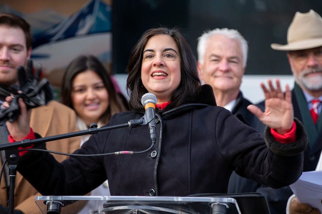 Malliotakis’s district at risk after judge approves New York redistricting plan