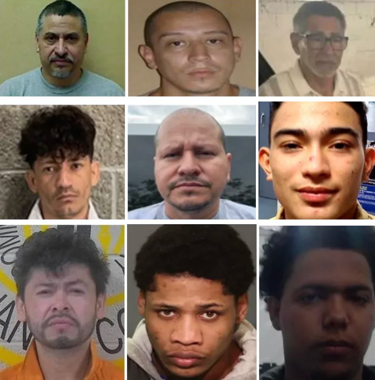 ICE Tracker: The violent illegal immigrants Homeland Security protects us from