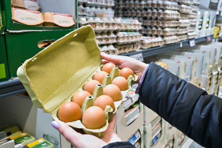Trump administration sues California over egg standards that drive up prices