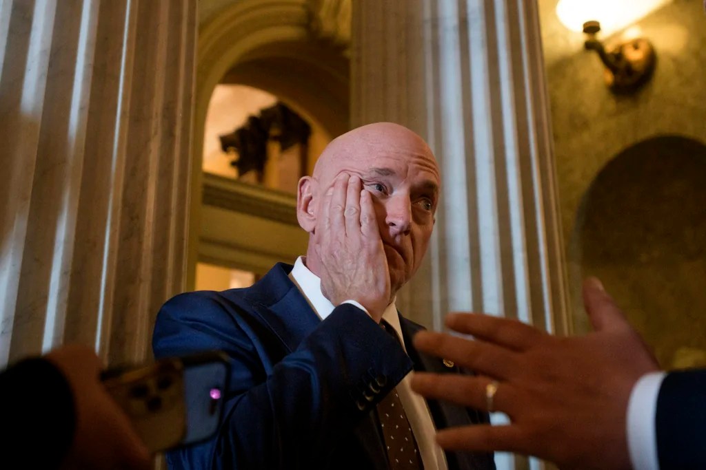 Arizona Democratic state chairman ousted after intraparty dispute involving Kelly and Gallego