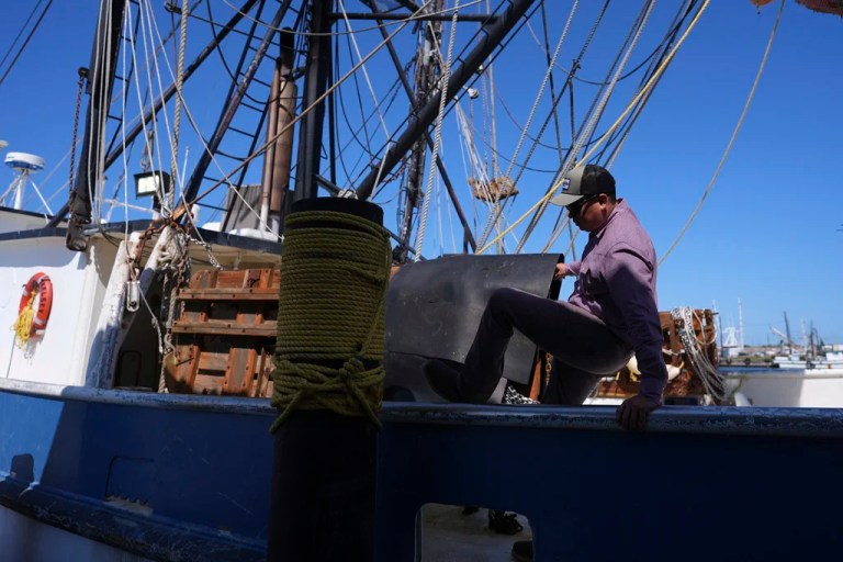 Shrimpers applaud Trump trade deal