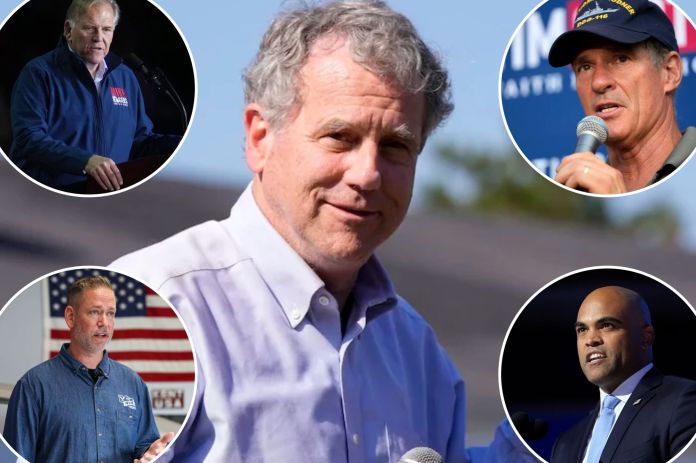 Pictured in this collage are Sherrod Brown (center), Mike Rogers (top left), Scott Brown (top right), Dan Osborn (bottom left), and Colin Allred (bottom right). (AP Photos).