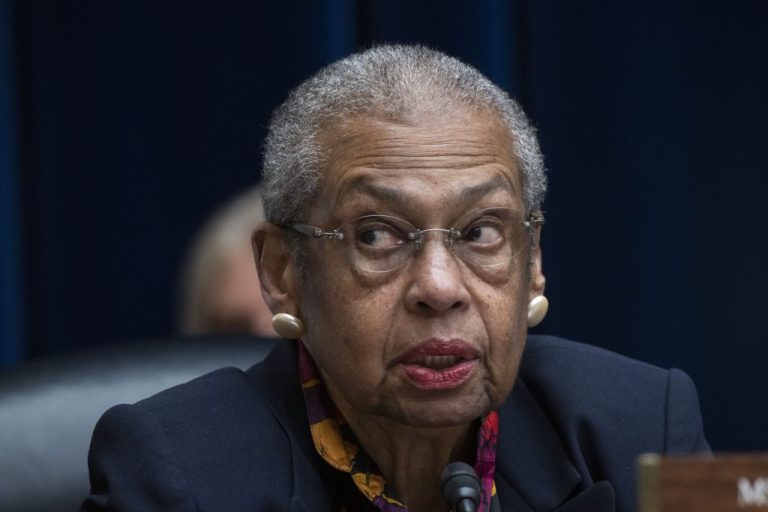 District of Columbia Delegate Eleanor Holmes Norton, D-D.C., speaks during a committee on House Administration Oversight Subcommittee and House Committee on Oversight and Accountability Cybersecurity, Information Technology, and Government Innovation Subcommittee joint hearing Wednesday, April 19, 2023, on Capitol Hill in Washington. (AP Photo/Manuel Balce Ceneta)