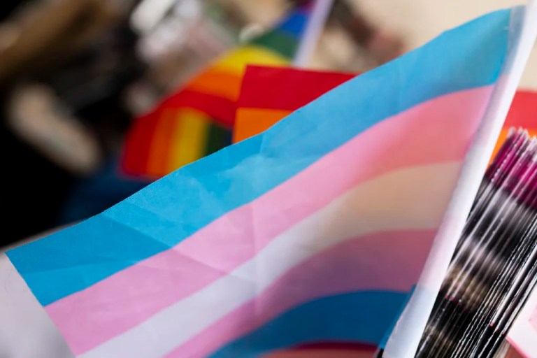 A transgender pride flag is displayed at a booth during Portland Pride on July 21, 2024, in Portland, Ore. (AP Photo/Jenny Kane)