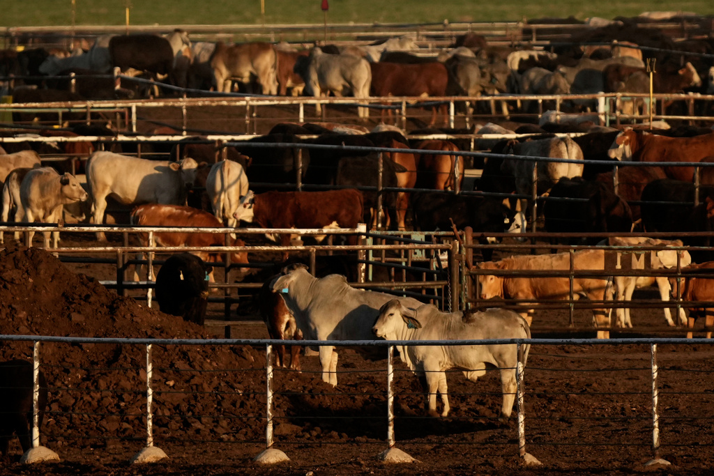$750 million facility to protect Texas cattle, wildlife from screwworm threat