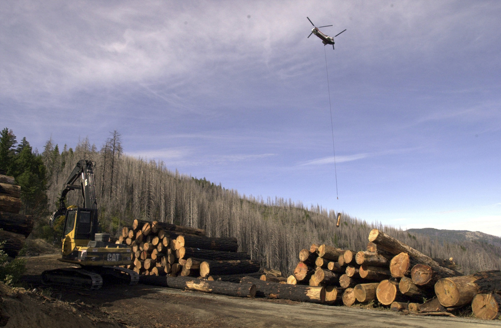 Trump USDA advances plan to ax logging protections for 44 million acres of national forests