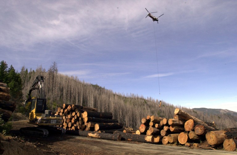 A helicopter ferries a log to the landing, Wednesday, Sept. 20, 2006, on the Mike's Gulch timber sale in the South Kalmiopsis Roadless Area of the Rogue River-Siskiyou National Forest near Selma, Oregon.