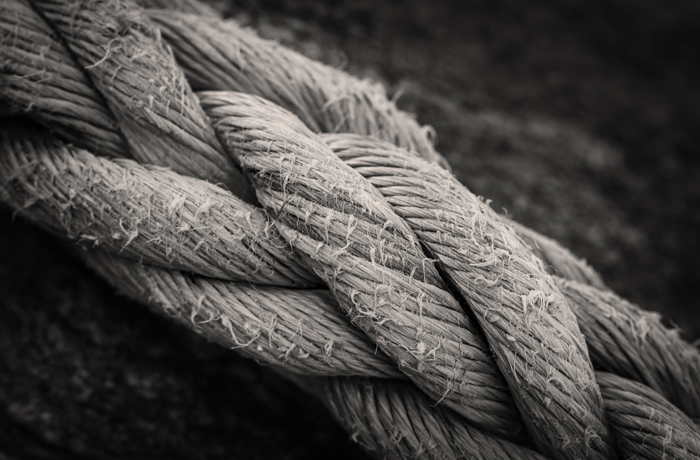 A tangled history: Review of ‘Rope’ by Tim Queeney