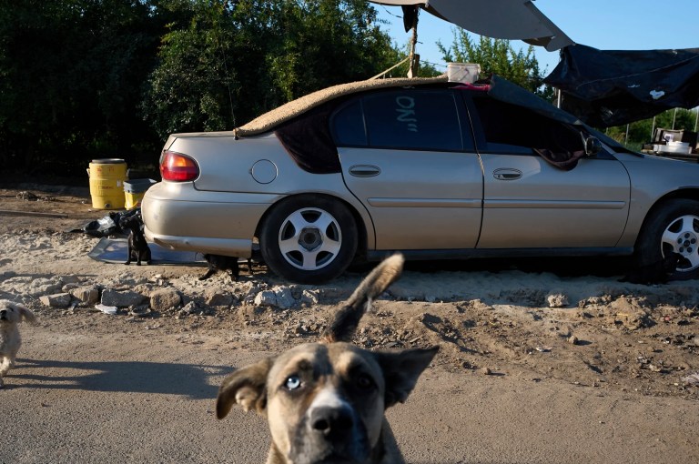 Californians voice support for Trump’s homelessness order