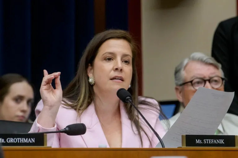 Rep. Elise Stefanik (R-NY) questions a panel of witnesses.
