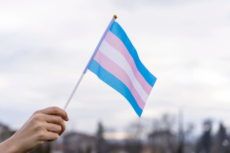 A hand holds a transgender flag.