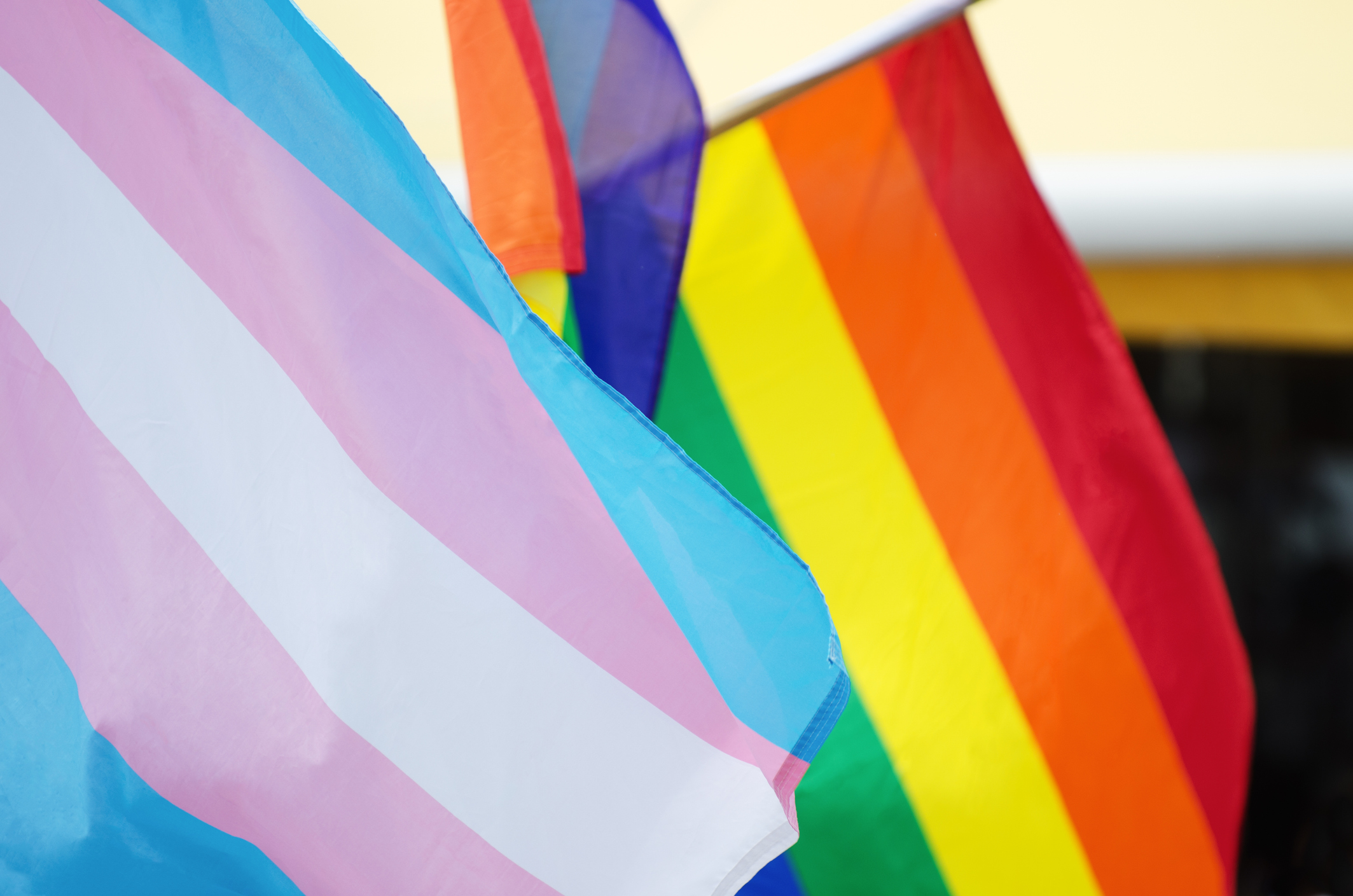 School district drops appeal of gender ideology ruling
