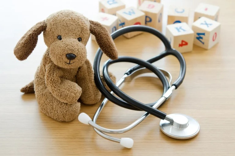 Puppy toy with medical equipment