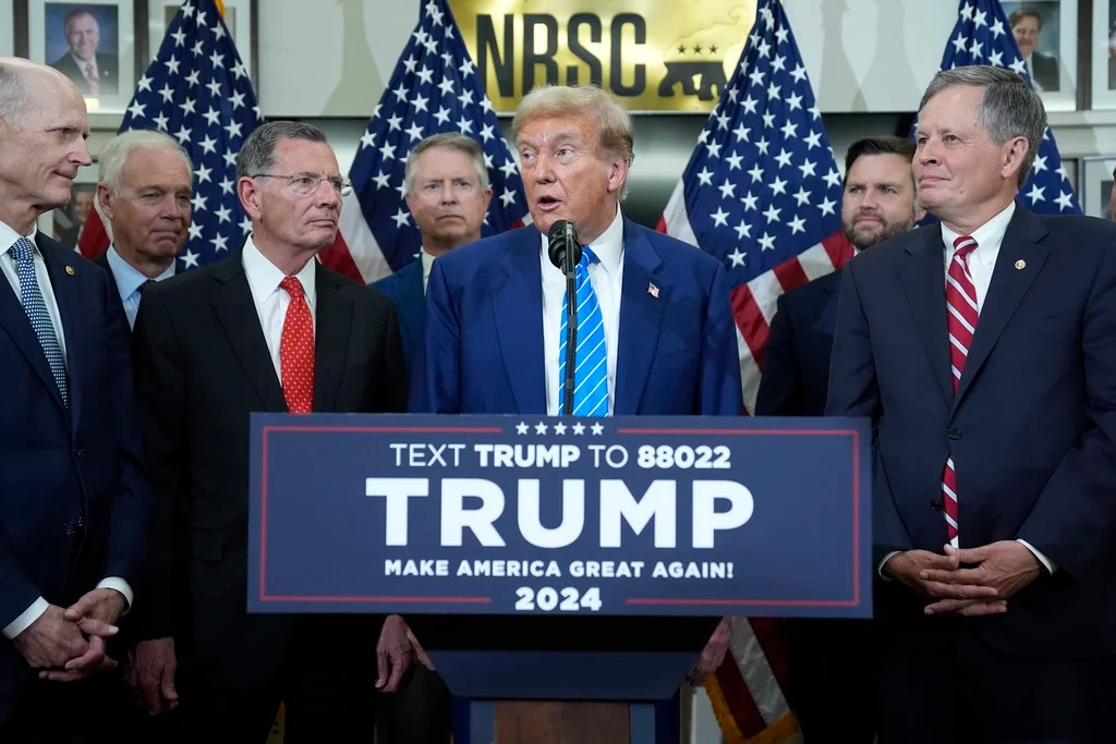 GOP ad blitz blankets Senate map with promos for Trump tax law