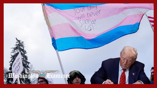 Democrats sue Trump administration over youth transgender-related care order