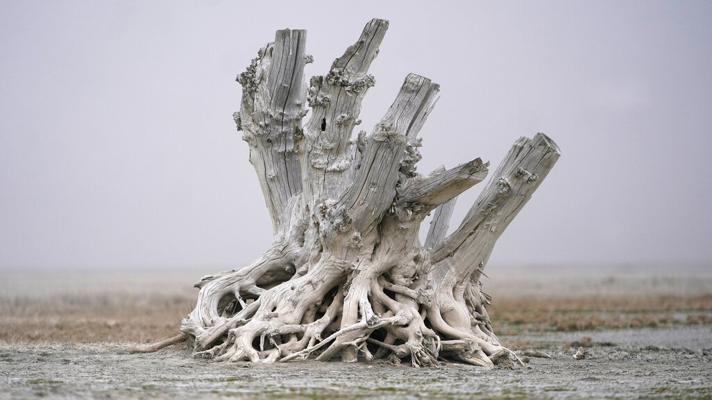 Cox announces $200 million effort to stave off saline failure in Great Salt Lake