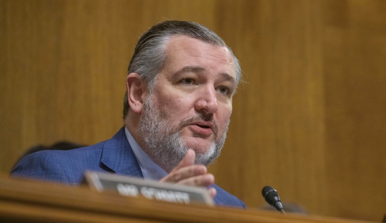 Subcommittee Chairman Sen. Ted Cruz, R-Texas, speaks during a Senate Committee on the Judiciary joint subcommittee hearing to examine District Judges v. Trump, on Capitol Hill, Tuesday, June 3, 2025, in Washington.