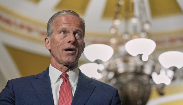 Senate Majority Leader John Thune (R-SD).