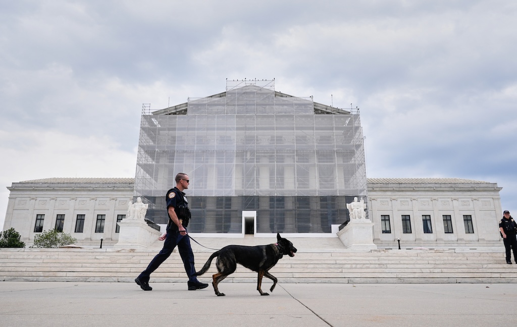 Supreme Court to decide if GOP candidate can sue over Illinois mail-in ballot law